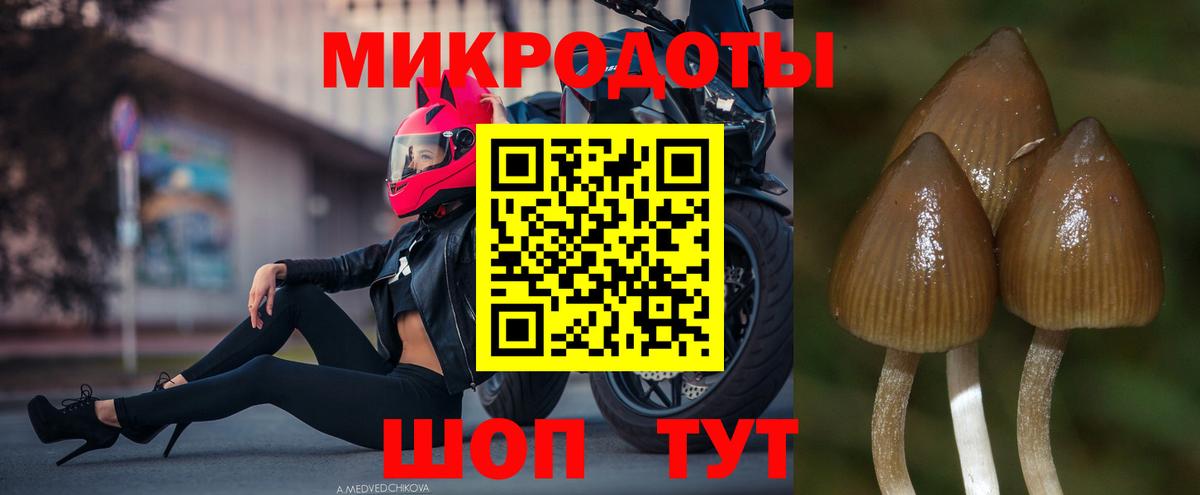 Ухта  Псилоцибиновые грибы MAGIC MUSHROOMS  Вход с VPN 